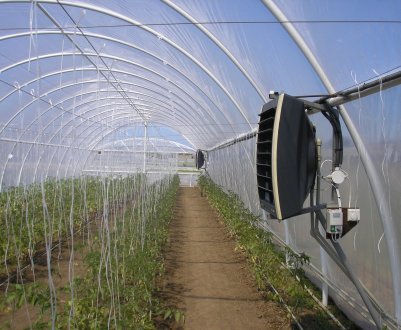 Обігрів теплиць газом