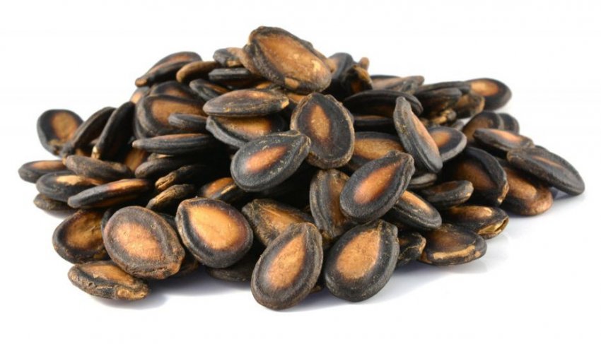 Насіння кавуна Насіння кавуна