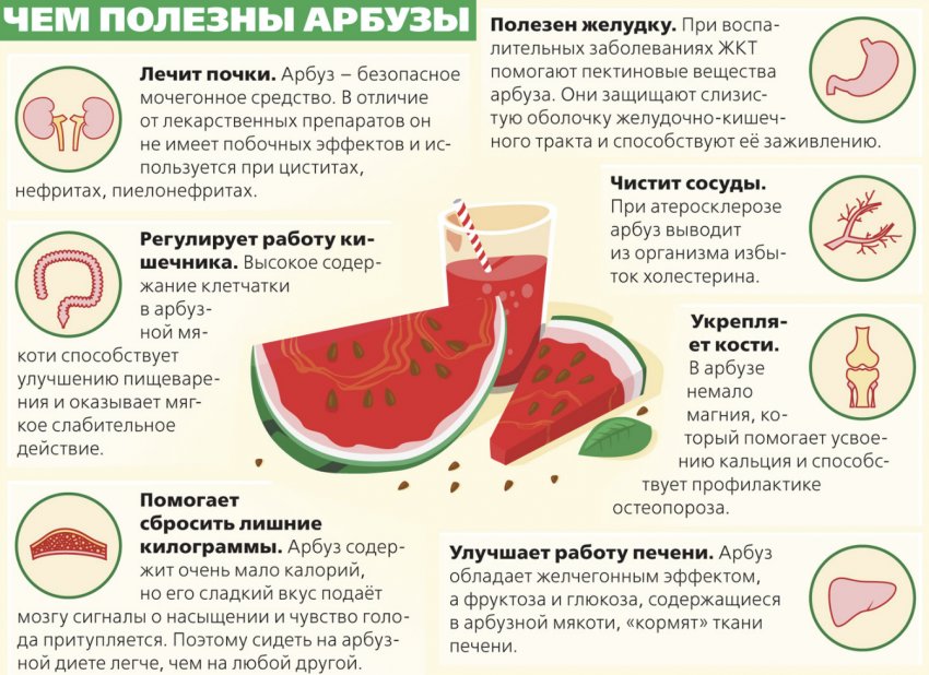 арбуз на завтрак вредно или полезно. Смотреть фото арбуз на завтрак вредно или полезно. Смотреть картинку арбуз на завтрак вредно или полезно. Картинка про арбуз на завтрак вредно или полезно. Фото арбуз на завтрак вредно или полезно