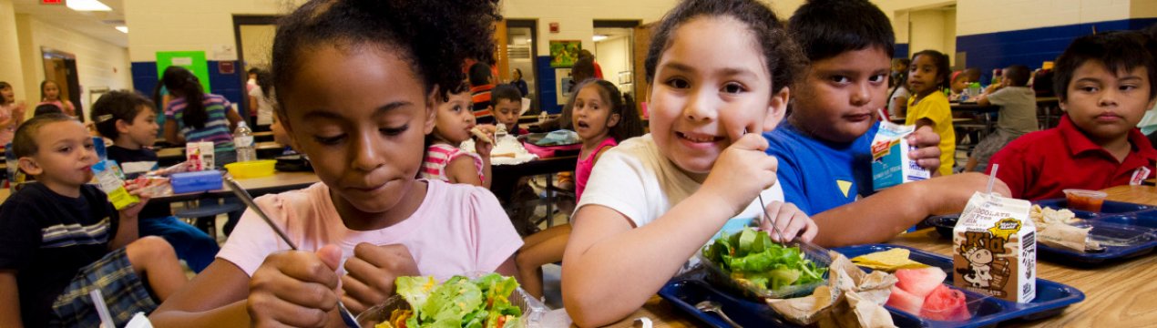 У США готується заборону використання продуктів, оброблених хлорпирифосом, у шкільному харчуванні