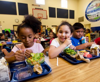 У США готується заборону використання продуктів, оброблених хлорпирифосом, у шкільному харчуванні