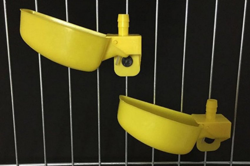 Чашкові поїлки