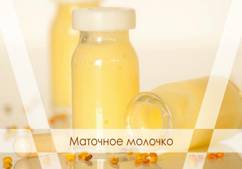Маточне молочко Маточне молочко