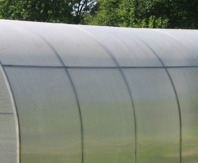 Як побудувати зимову теплицю в Сибіру?