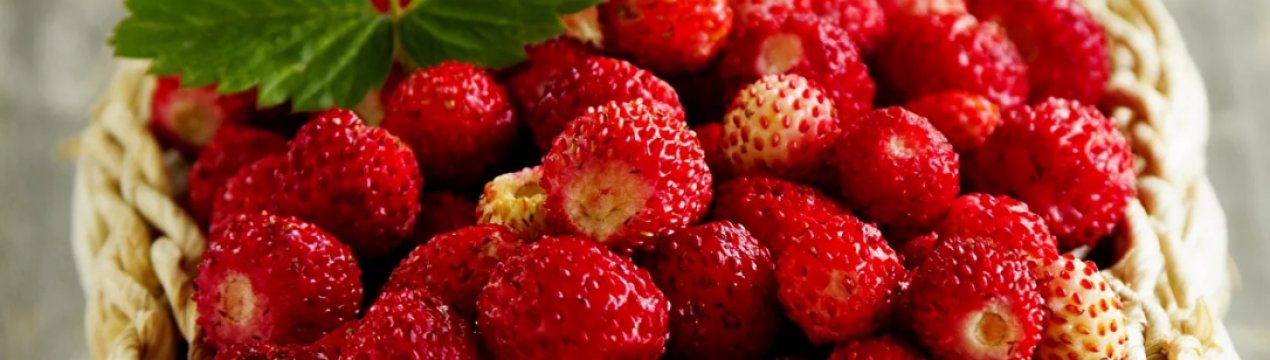 Турецькі садівники все активніше забезпечують росіян улюбленими ягодами