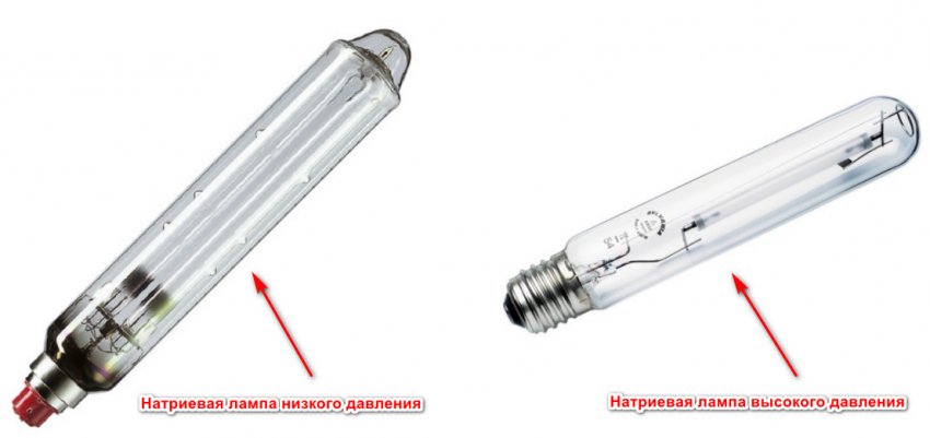 Днат расшифровка. Днат расшифровка. Днат, ip65 250 вт. Днат 250 световой поток. Днат расшифровка.