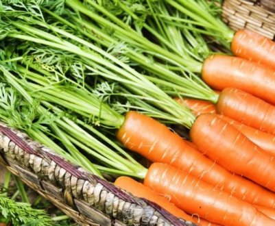 Що робити, якщо морква замерзла на балконі?