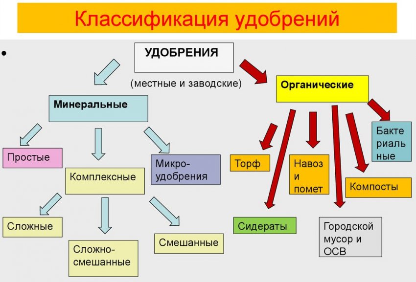 Класифікація добрив Класифікація добрив