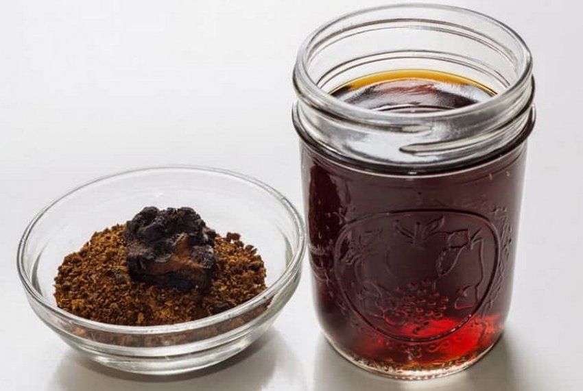 Бджолиний підмор