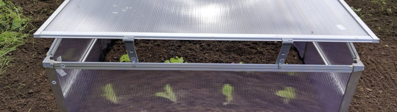 Міні-парник в домашніх умовах