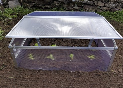 Міні-парник в домашніх умовах