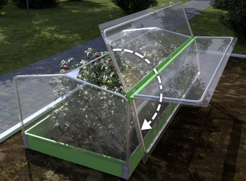 Міні-парник Міні-парник