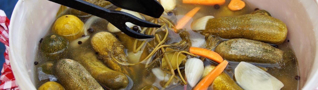 Засолювання огірків у каструлі холодним способом