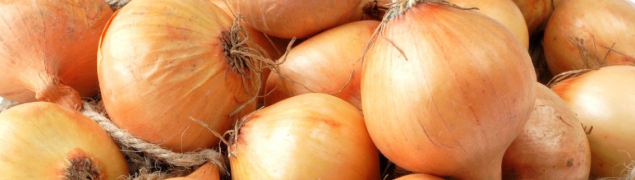 В Україні спостерігаються найвищі ціни на цибулю за останні 10 років