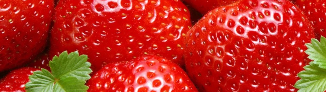 Воїн АТО розвиває агротуризм у Львівській області