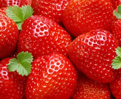 Воїн АТО розвиває агротуризм у Львівській області