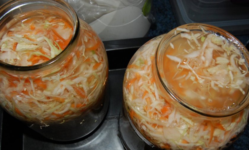 Квашеная капуста Квашеная капуста