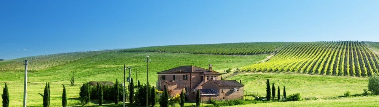 Відзначено зростання вкладу агропродовольчого сектора в економіку Великобританії