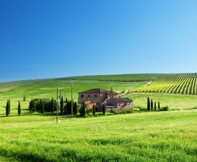 Відзначено зростання вкладу агропродовольчого сектора в економіку Великобританії