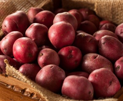 Опис кращих сортів червоного картоплі