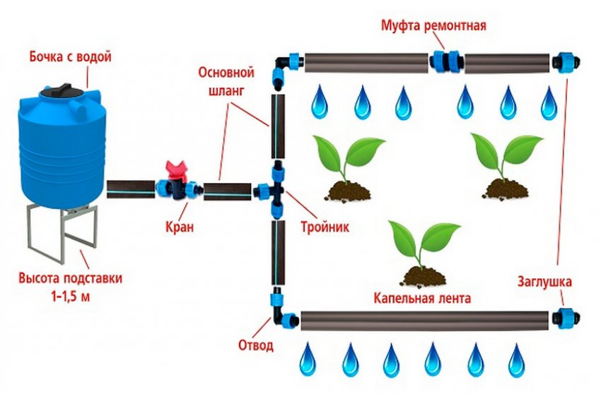 Схема крапельного поливу Схема крапельного поливу