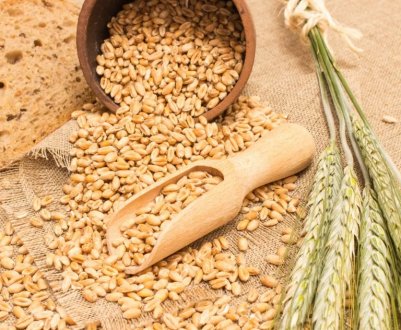 США виграли суперечку з Китаєм щодо питання експорту зерна