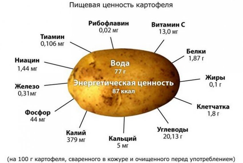 В картофеле есть вода. Пищевая ценность картофеля на 100 грамм. Содержание полезных веществ в картофеле. Картофель пищевая ценность в 100 гр. Картофель химический состав и пищевая ценность таблица.