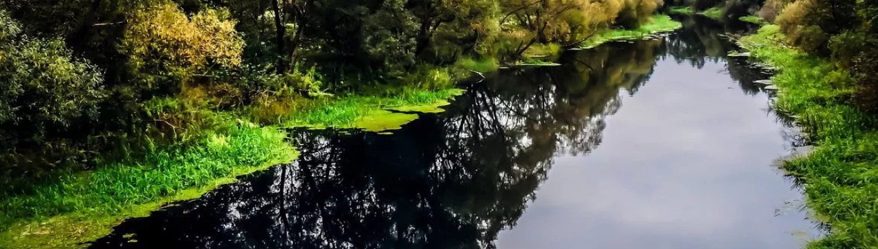 Сільради Херсонської області збираються подати до суду на Петра Порошенка