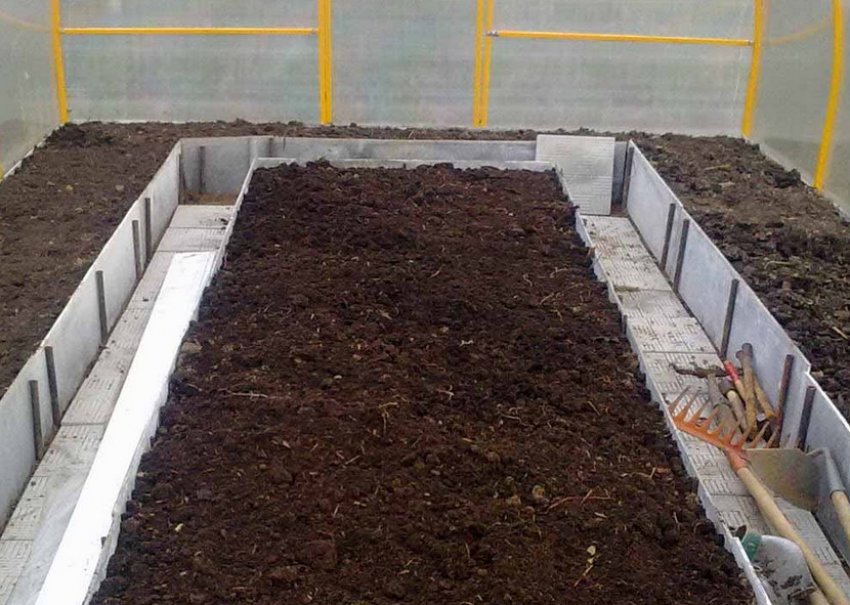 Подготовленная почва к посадке картофеля