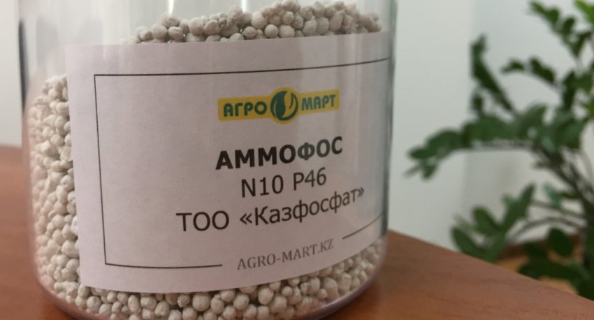 Чем подкормить редиску после всходов. Смотреть фото Чем подкормить редиску после всходов. Смотреть картинку Чем подкормить редиску после всходов. Картинка про Чем подкормить редиску после всходов. Фото Чем подкормить редиску после всходов