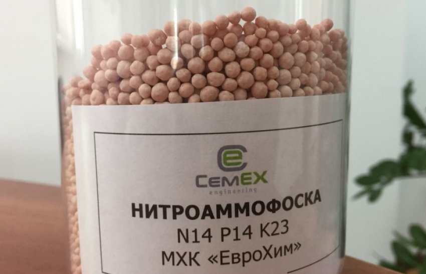 Чем подкормить редиску после всходов. Смотреть фото Чем подкормить редиску после всходов. Смотреть картинку Чем подкормить редиску после всходов. Картинка про Чем подкормить редиску после всходов. Фото Чем подкормить редиску после всходов