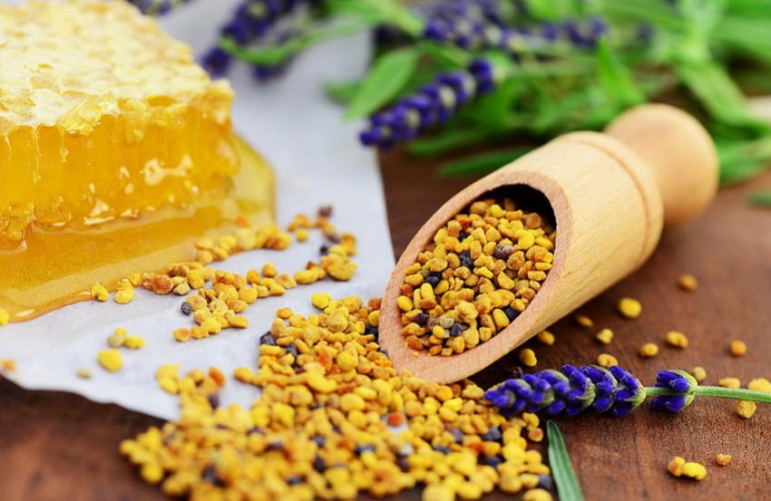 Бджолиний пилок