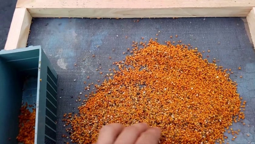 Сушка пчелиной пыльцы Сушка пчелиной пыльцы