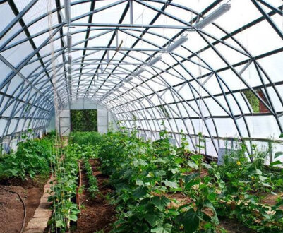 Спеціалізоване обладнання для теплиць