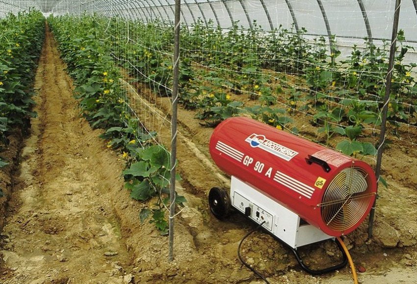 Повітряний обігрів теплиці Повітряний обігрів теплиці