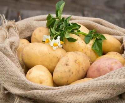 У Східній Європі відзначається зростання цін на картоплю