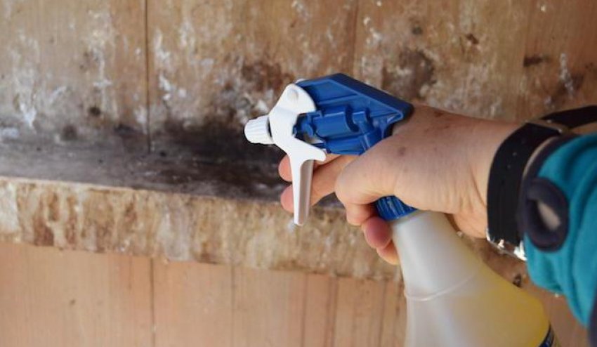 Дезінфекція