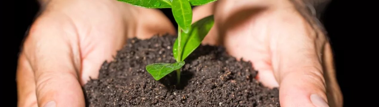 Saudi Maaden купила африканську компанію з виробництва добрив Meridian