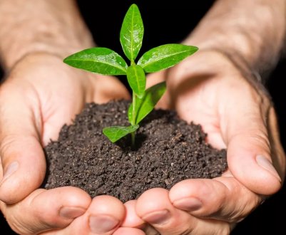 Saudi Maaden купила африканську компанію з виробництва добрив Meridian