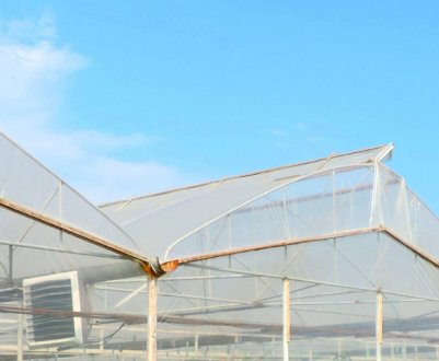 Характеристика плівки для теплиць «Світлиця»
