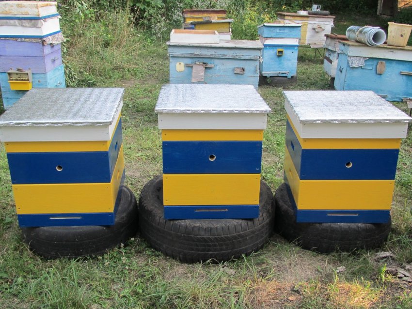 Пофарбовані вулика в зразкові кольори Пофарбовані вулика в зразкові кольори