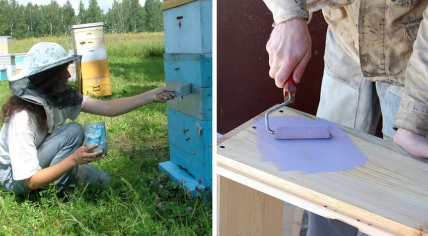 Фарбування вуликів Фарбування вуликів