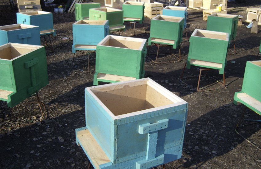 Пофарбовані вулика Пофарбовані вулика