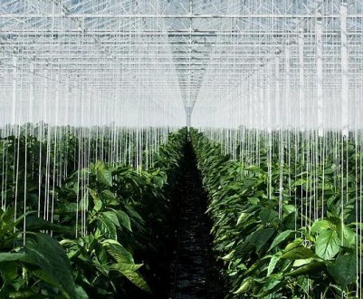 Зволожувач повітря у теплиці своїми руками