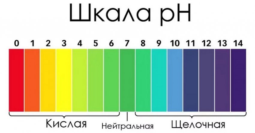 Шкала кислотності грунту Шкала кислотності грунту