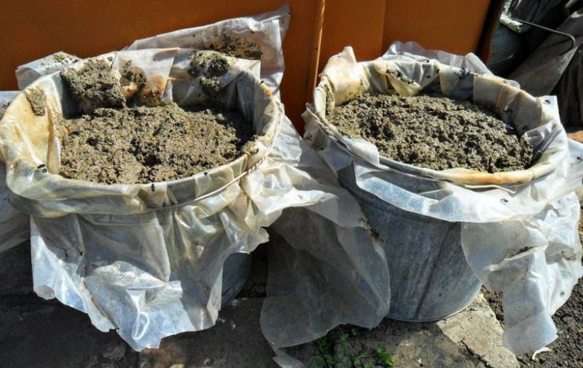 Рідкий курячий послід Рідкий курячий послід