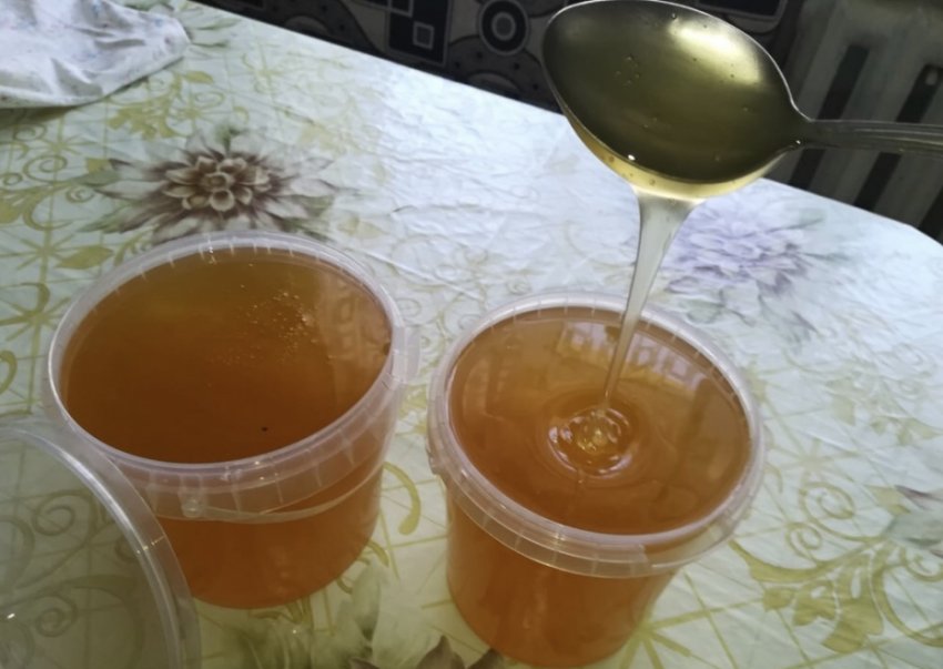 Мёд из верблюжей колючки