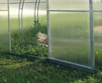 Особливості теплиці з полікарбонату без фундаменту