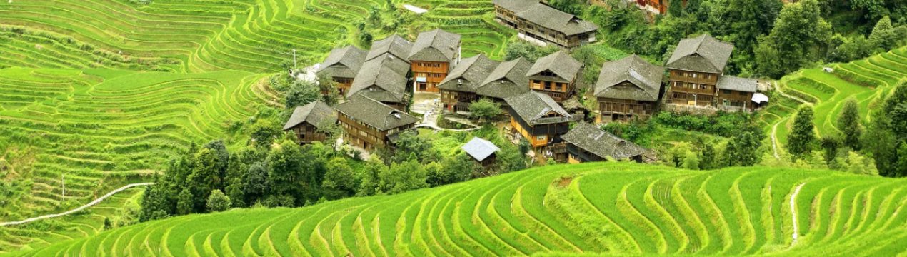 В Японії запускають пробну версію служби підтримки сільського господарства