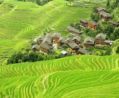 В Японії запускають пробну версію служби підтримки сільського господарства 